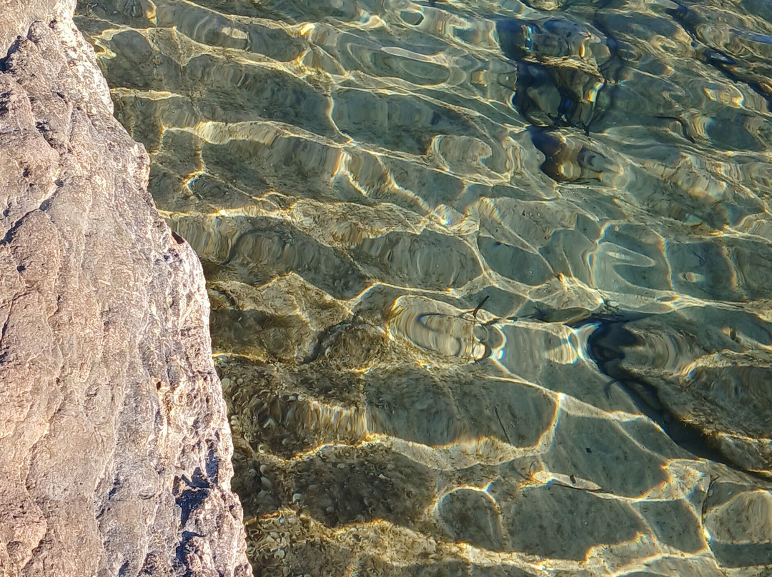 Playa de Sant Joan景点图片