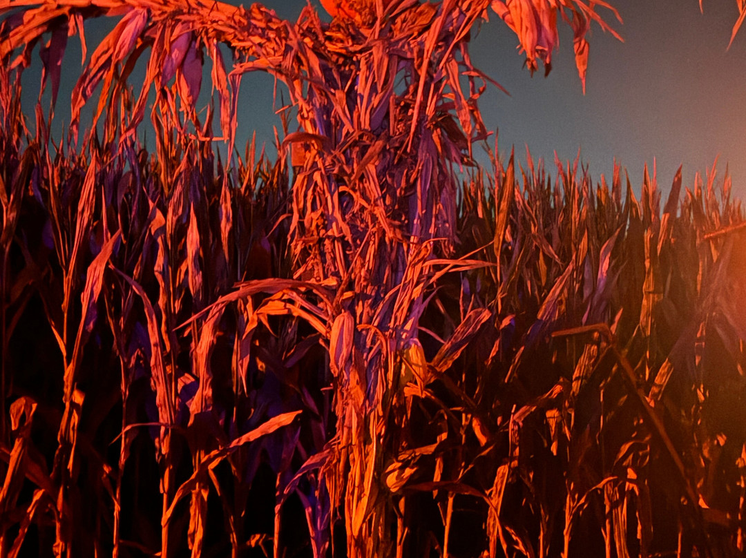 Legends Of The Fog-Aberdeen必去景点