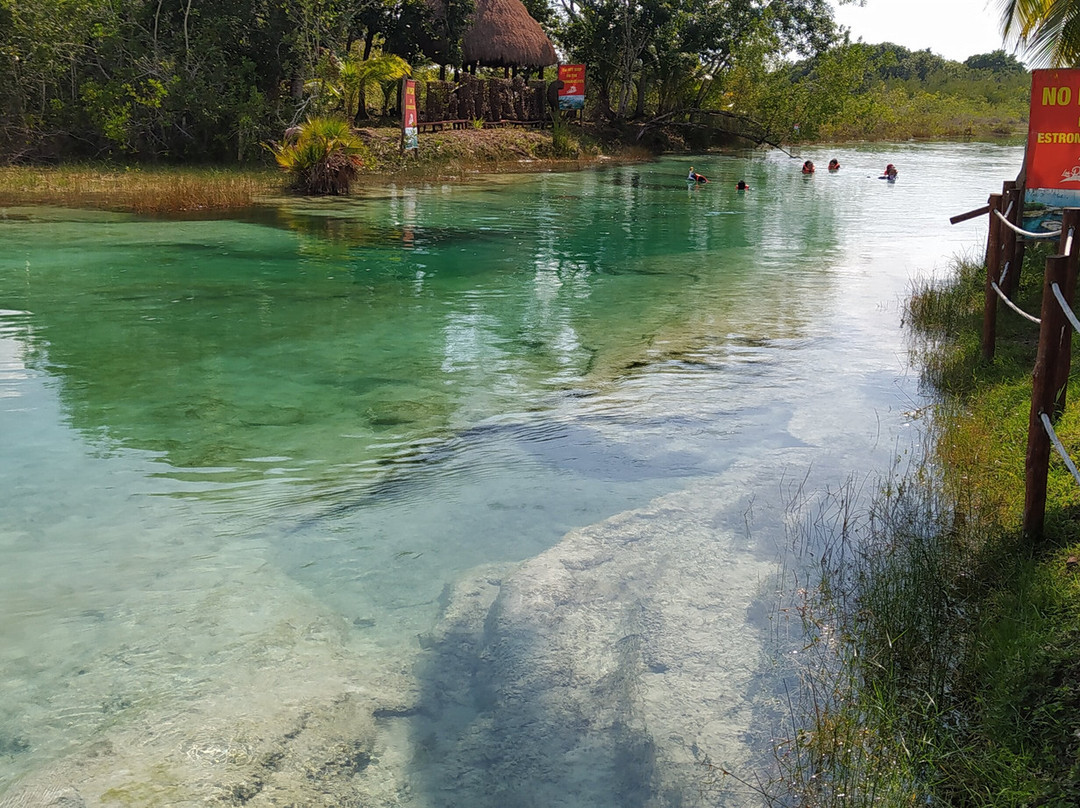Estromatolitos-Bacalar必去景点