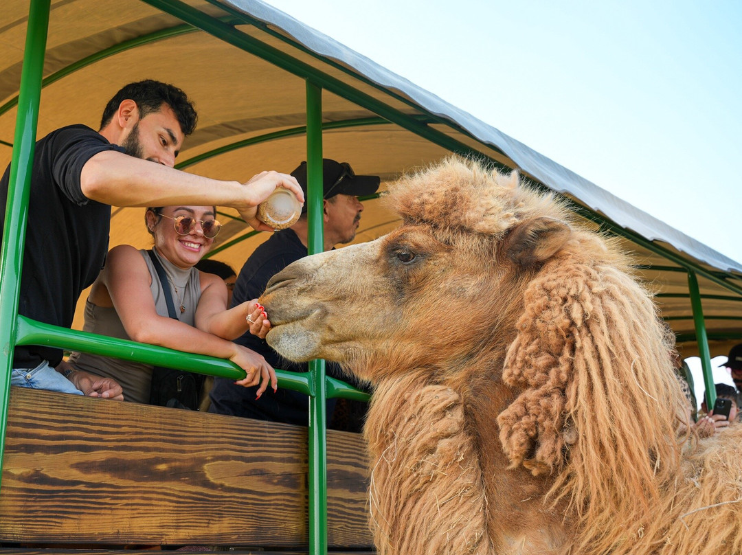 Fragile Planet Wildlife Park