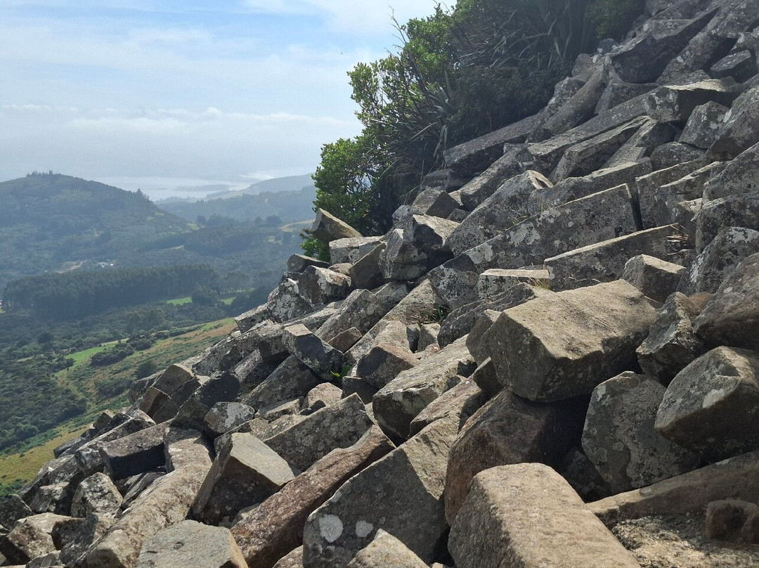 Organ Pipes Track-但尼丁必去景点