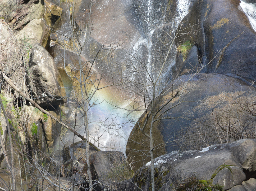 Cascade Le Saut de la Truite景点图片