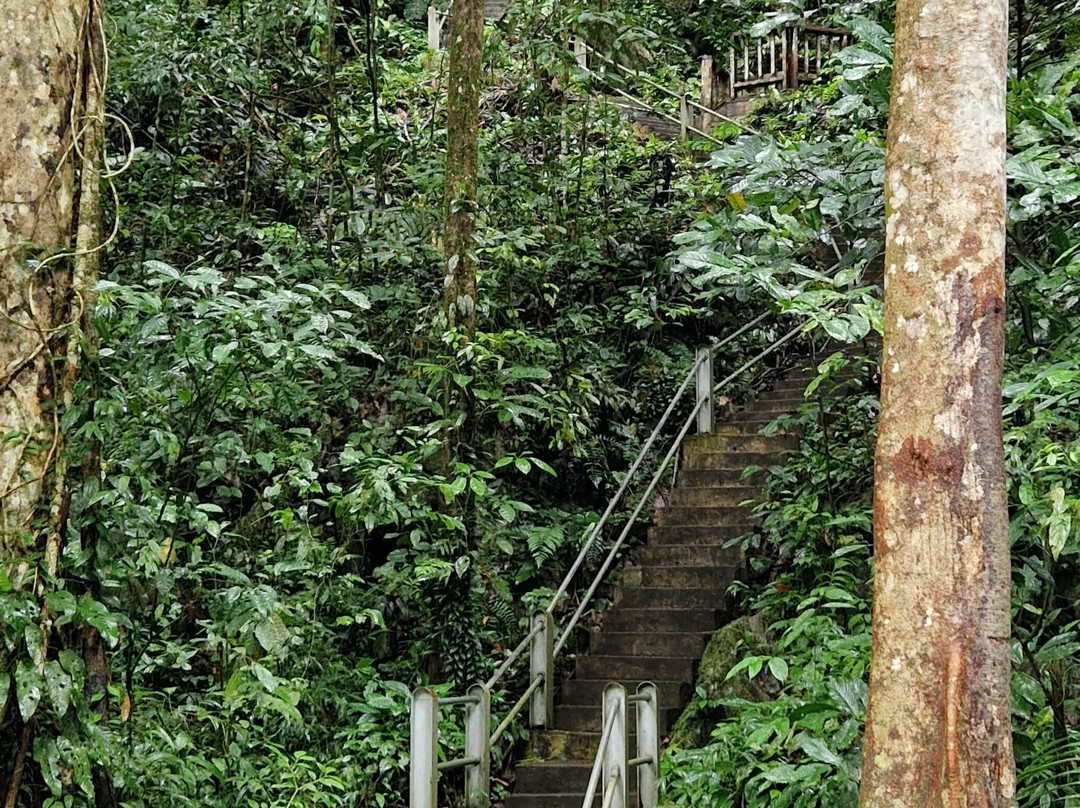 Clearwater / Wind Show Caves-姆鲁国家公园必去景点