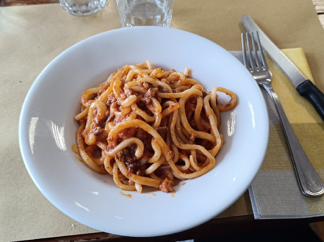 Fattoria Pulcino-蒙特普尔恰诺必去景点