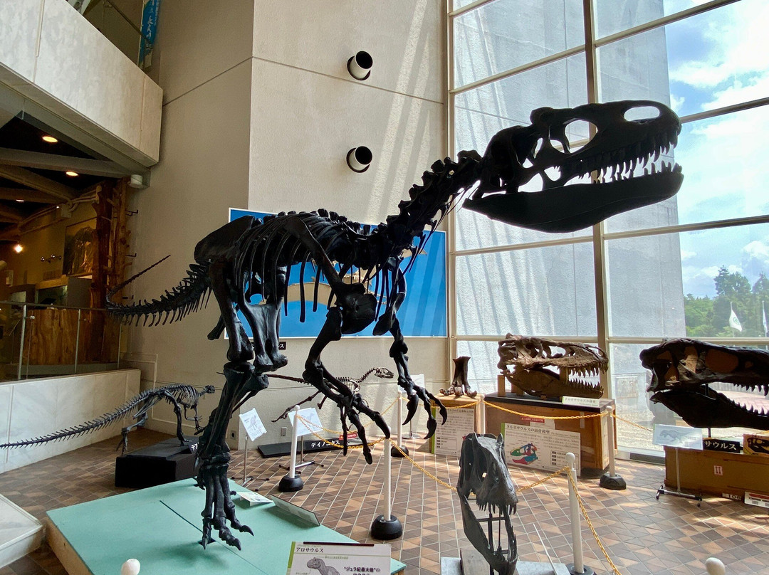 Gifu Prefectural Museum-关市必去景点