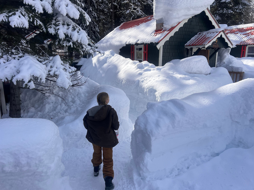 Brundage Bungalows主图