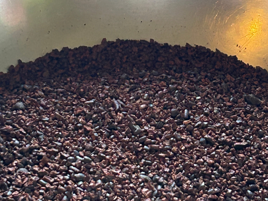 Chocorart景点图片