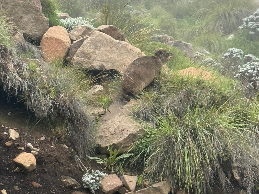 Birds and Beyond-Himeville必去景点