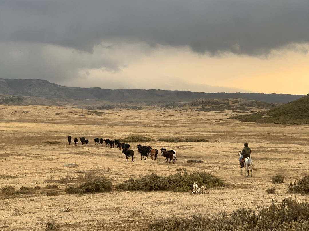 Bale Mountains Brilliant Tours景点图片