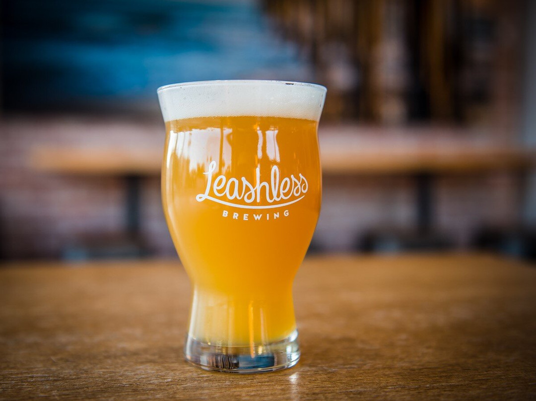 Leashless Brewing景点图片