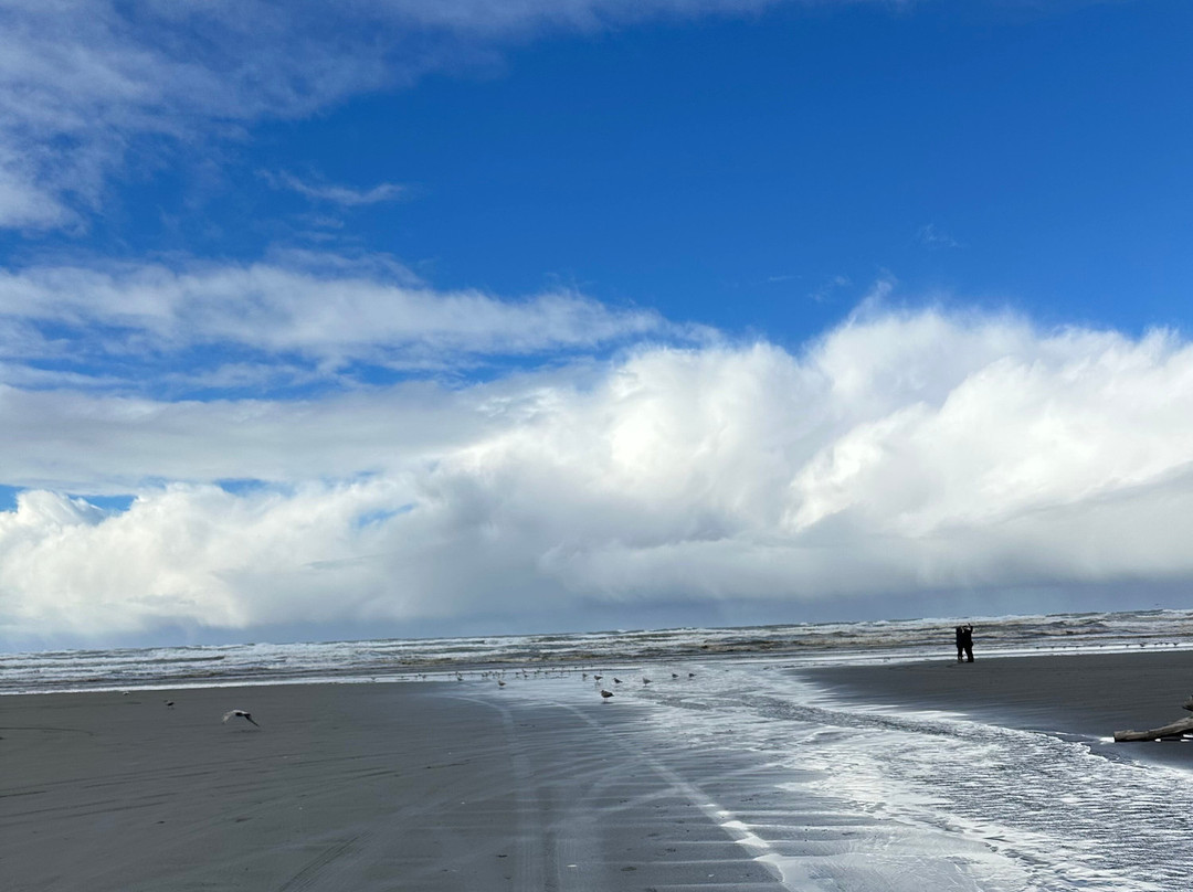 Polynesian Resort主图