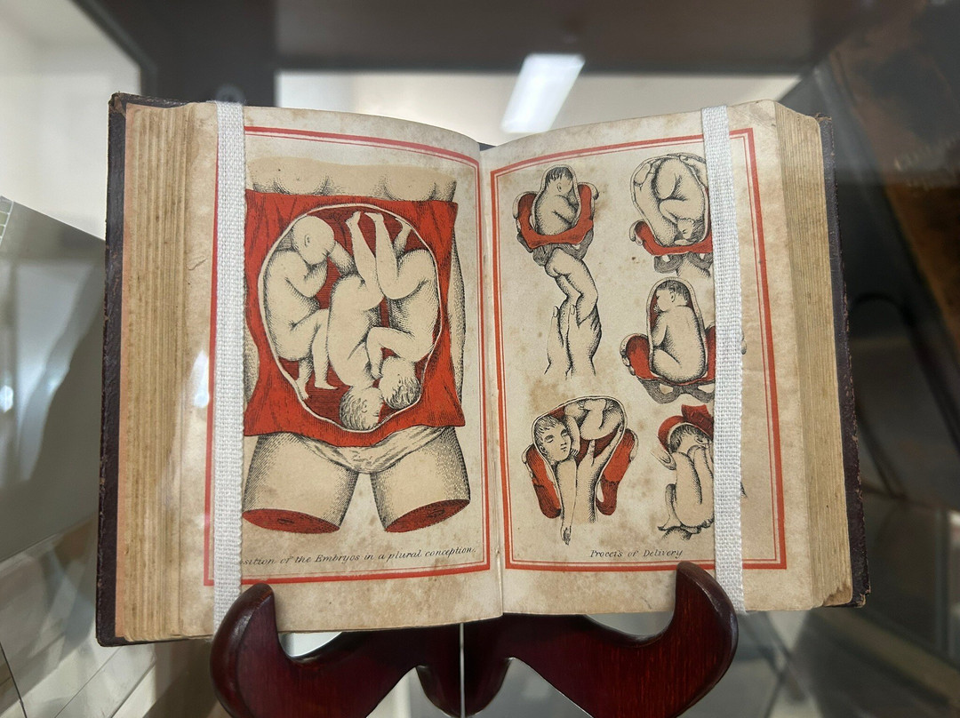 RPA Museum-悉尼必去景点