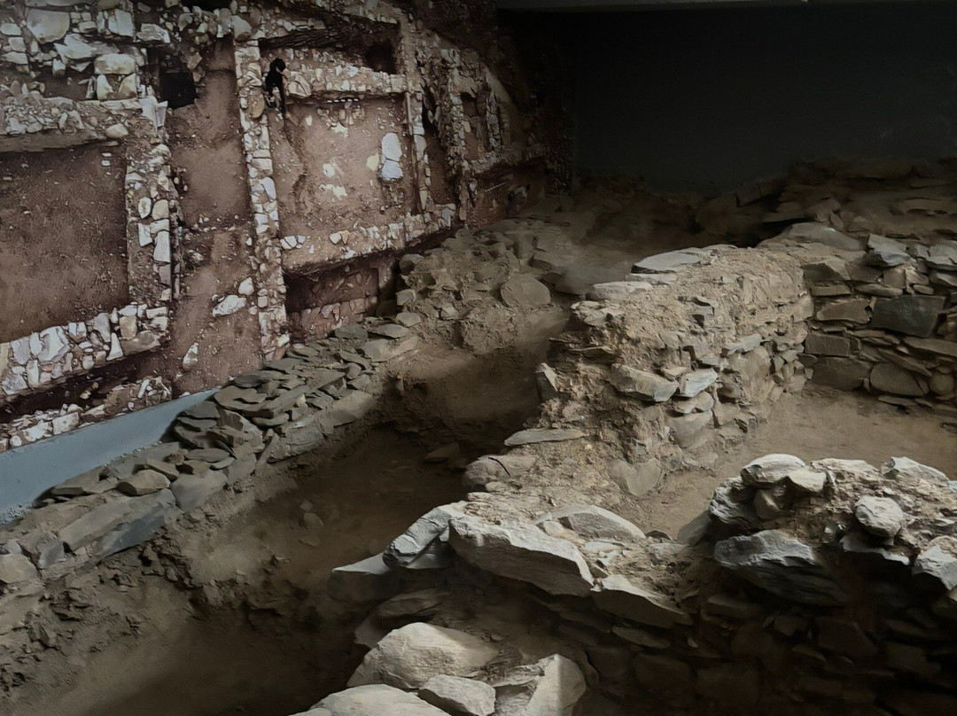 穆赛尔酒店主图