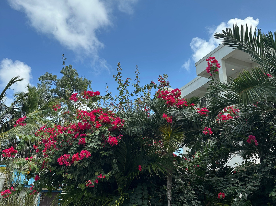 CeBlue Luxury Villas主图