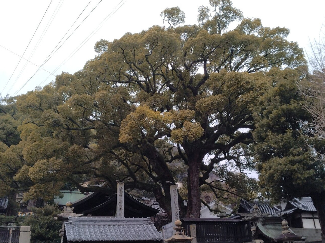 Ushitora Shrine-尾道市必去景点