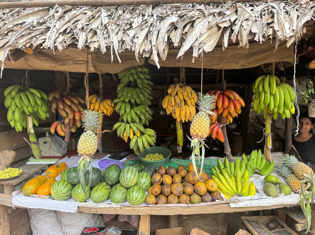 Greenway Tours With Dilip-奴娃拉伊利雅必去景点