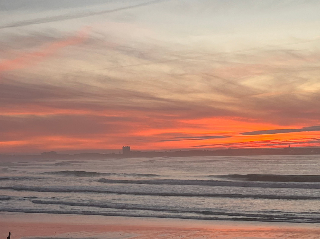 Tribo Da Praia Surfschol景点图片