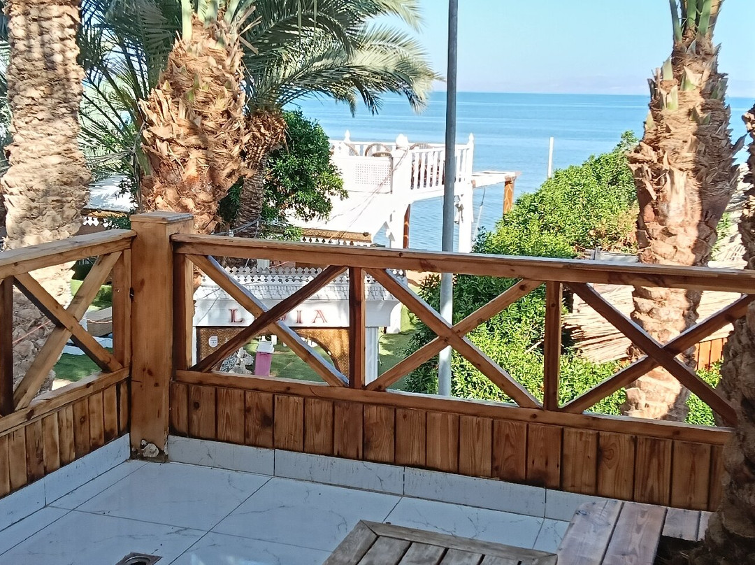 企鹅村达哈卜酒店主图