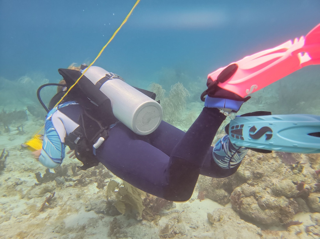 Cwori Dive Center-Smith Bay必去景点