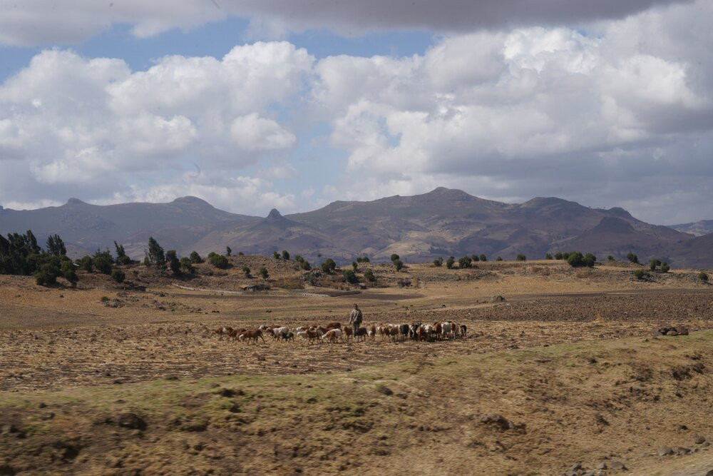 Bale Trek Ethiopia Tours-Goba必去景点