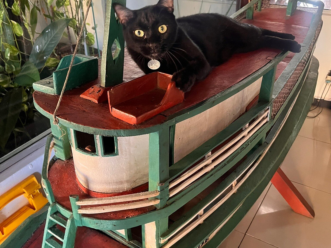 Pousada do Mingote主图