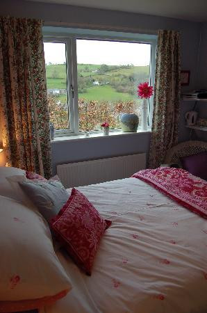 Sycharth Bed & Breakfast主图