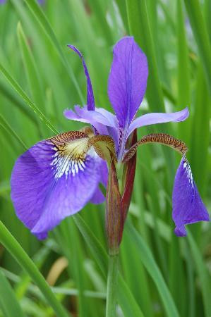 Cliffside Bed and Breakfast主图