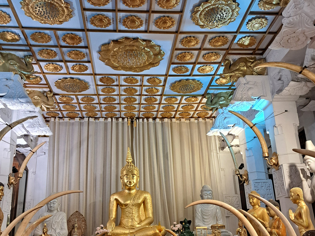 Scenic Ceylon Tours景点图片