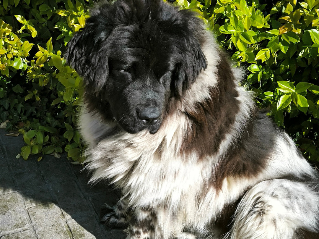 Hotel Aldori Landetxea主图