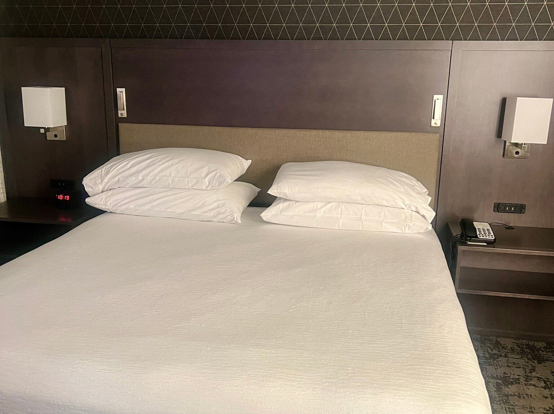 Embassy Suites by Hilton Detroit Metro Airport主图