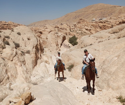 Salma Tours-安曼必去景点