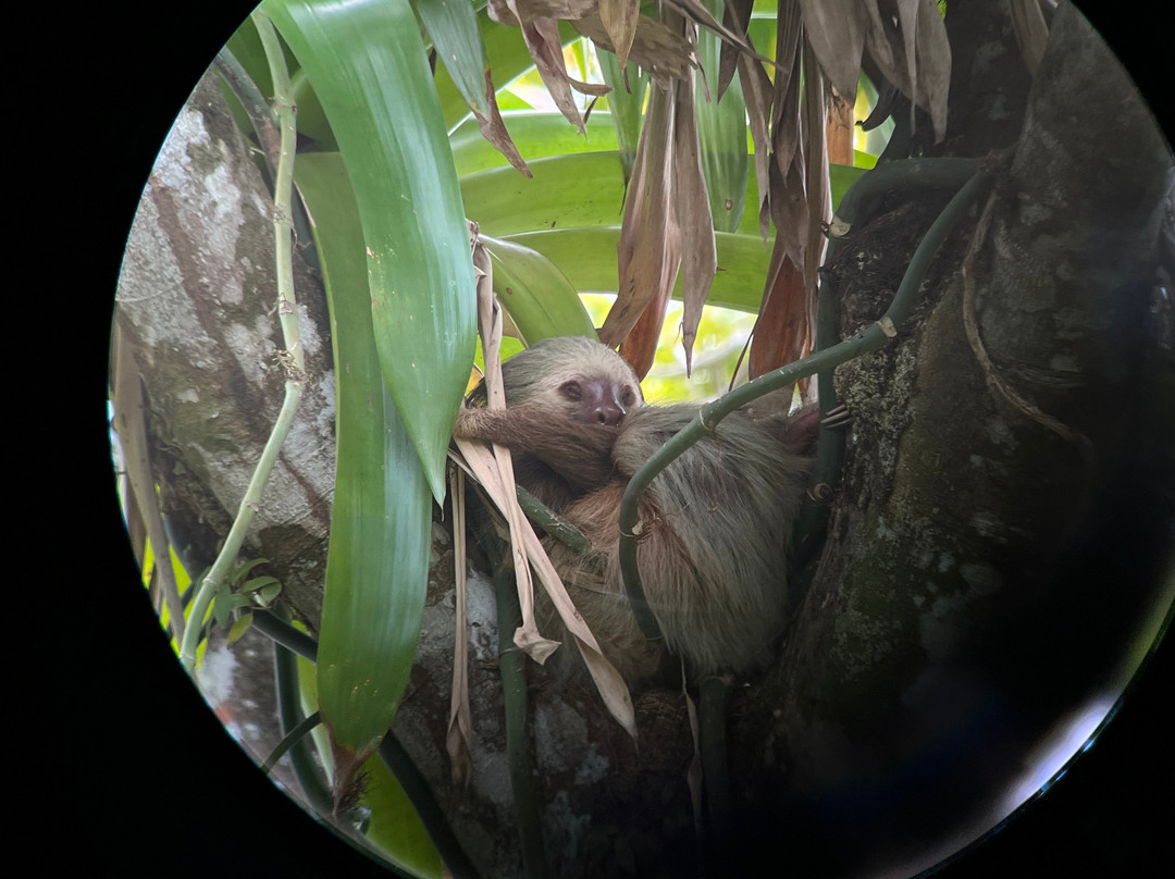 Costa Rican Trails - Day Tours-圣何塞必去景点