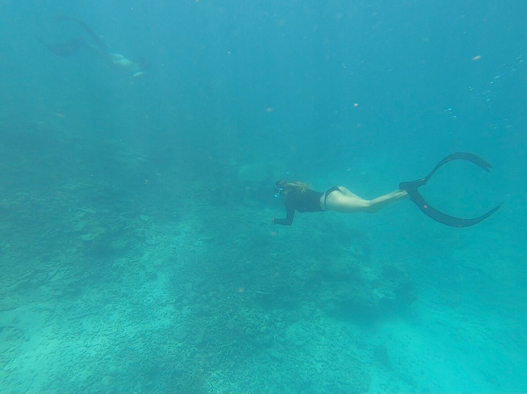 Coral Coast Freediving