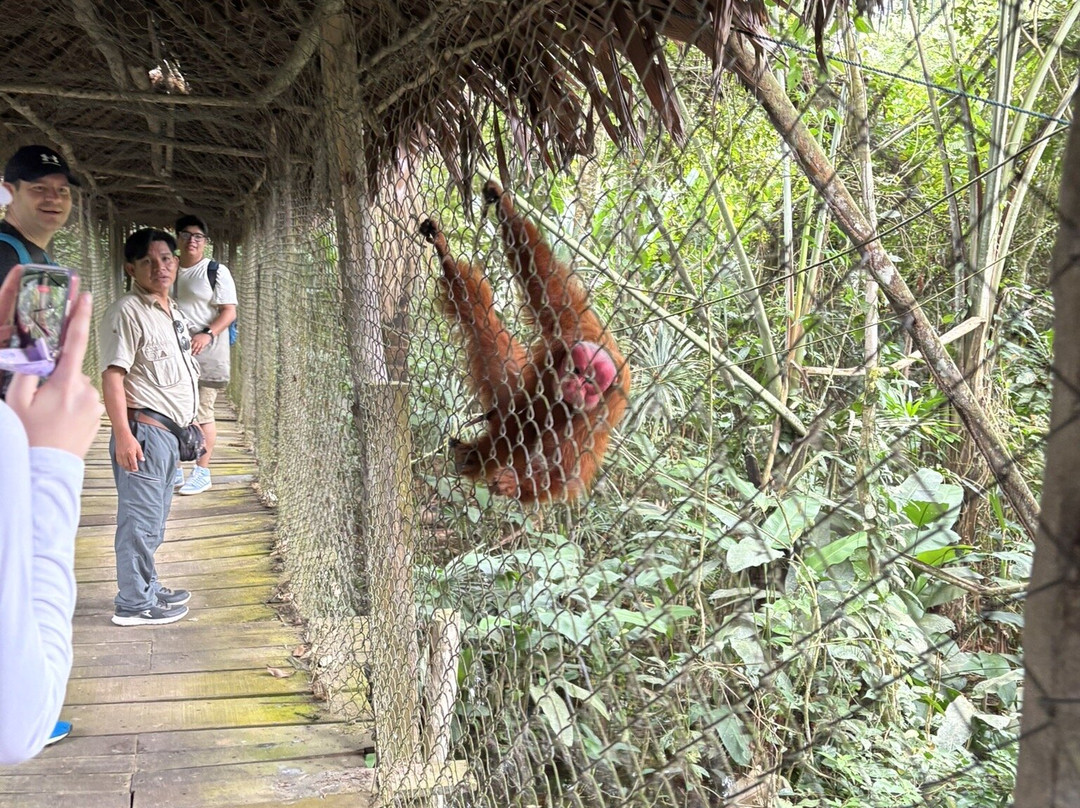 Pilpintuwasi - Wildlife Rescue Center And Butterfly Farm景点图片
