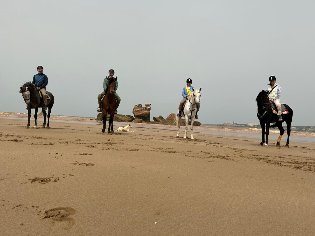 BerberTrekking.com-马拉喀什必去景点