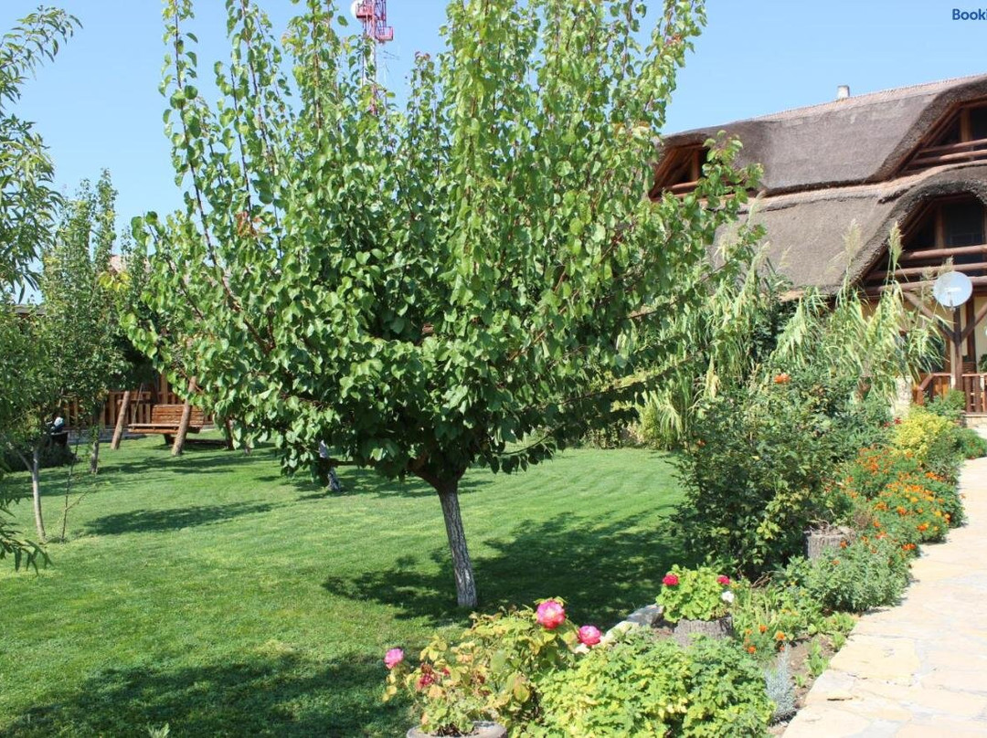 Pensiunea Heracleea主图