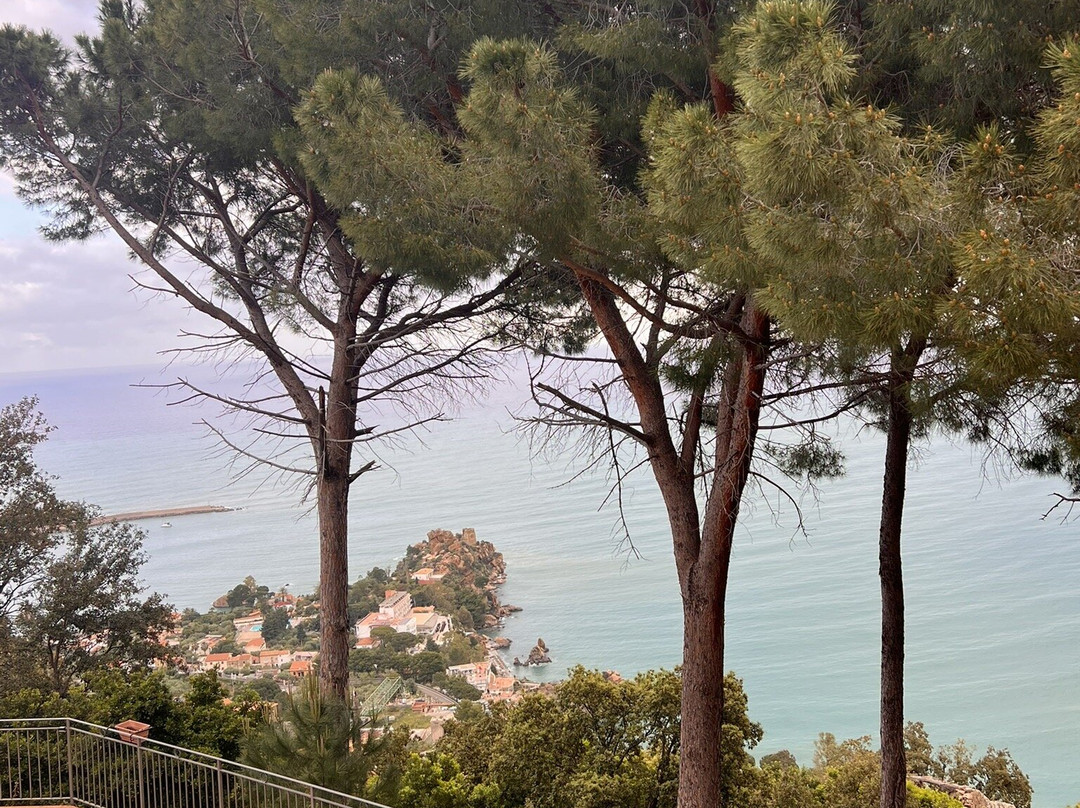 Alba Tra I Pini B&B主图