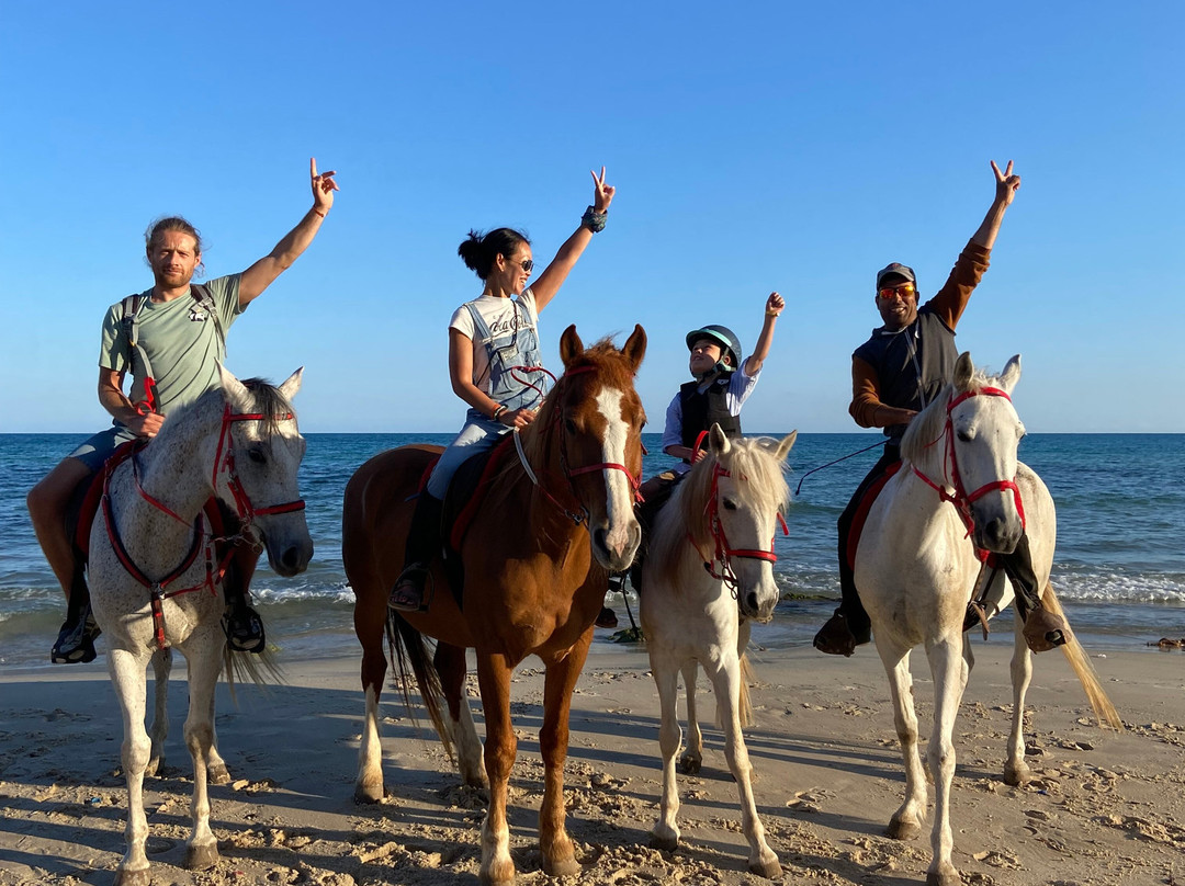 Club Equus Hammamet-哈玛麦德必去景点