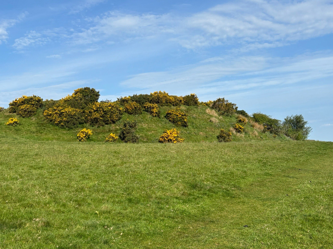 Warbstow Bury-朗塞斯顿必去景点
