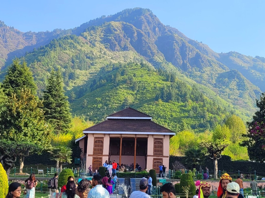 Chashme Shahi Gardens-斯利那加必去景点
