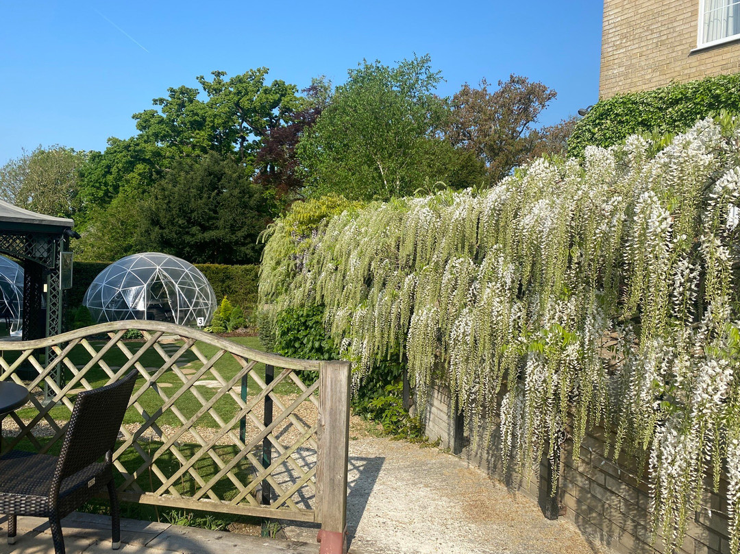 常春藤山贝斯特维斯特酒店主图