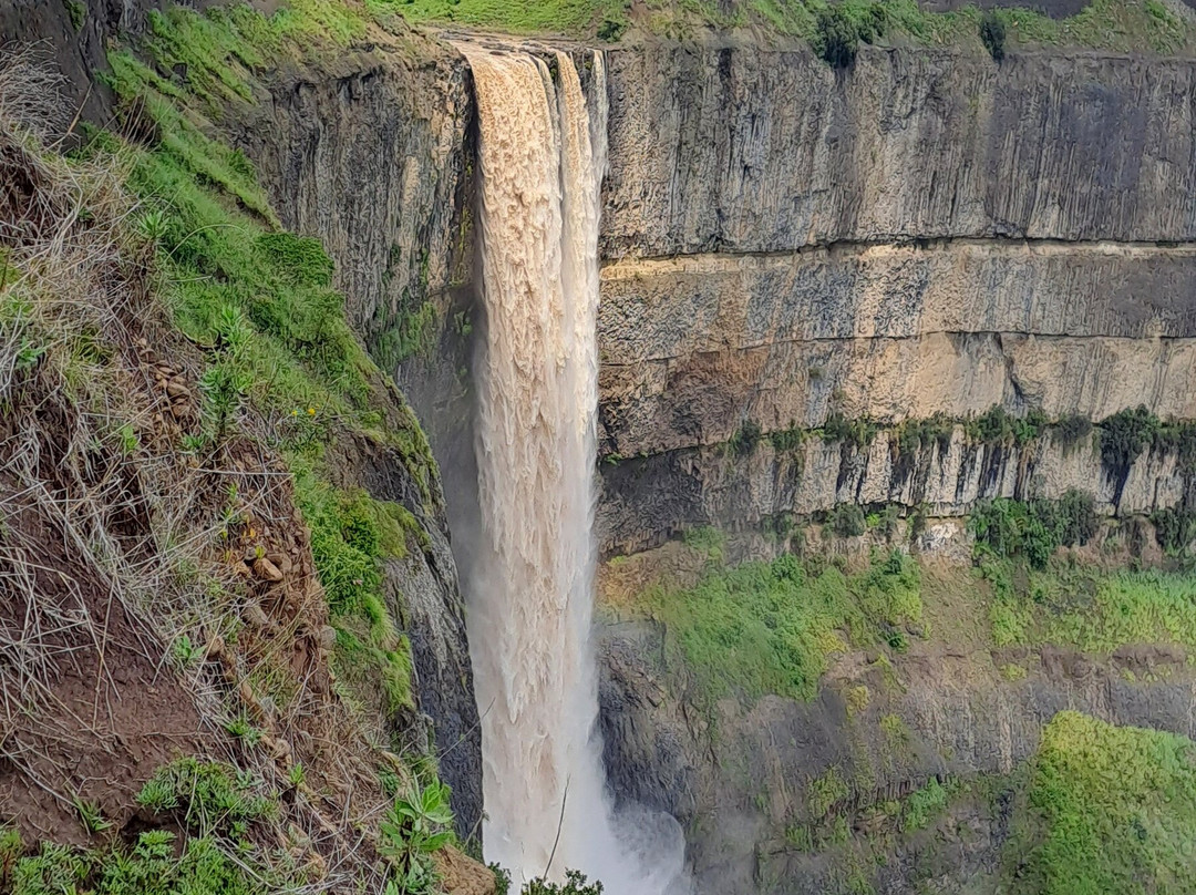 Ethio Trekking And  Expeditions-亚的斯亚贝巴必去景点