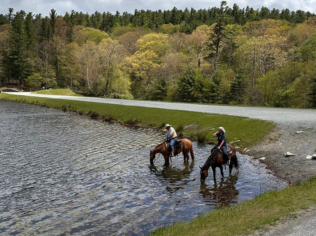 Vx3 Trail Rides-布洛英罗克必去景点