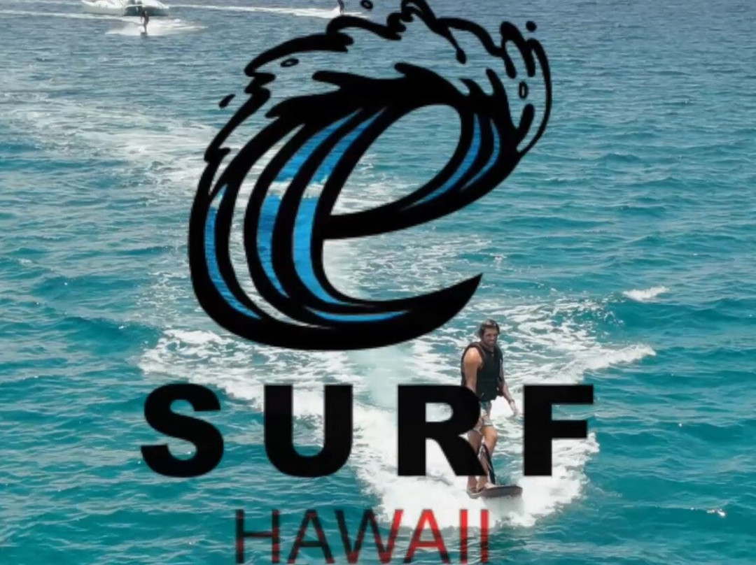 Electric Surfboard tours Hawaii