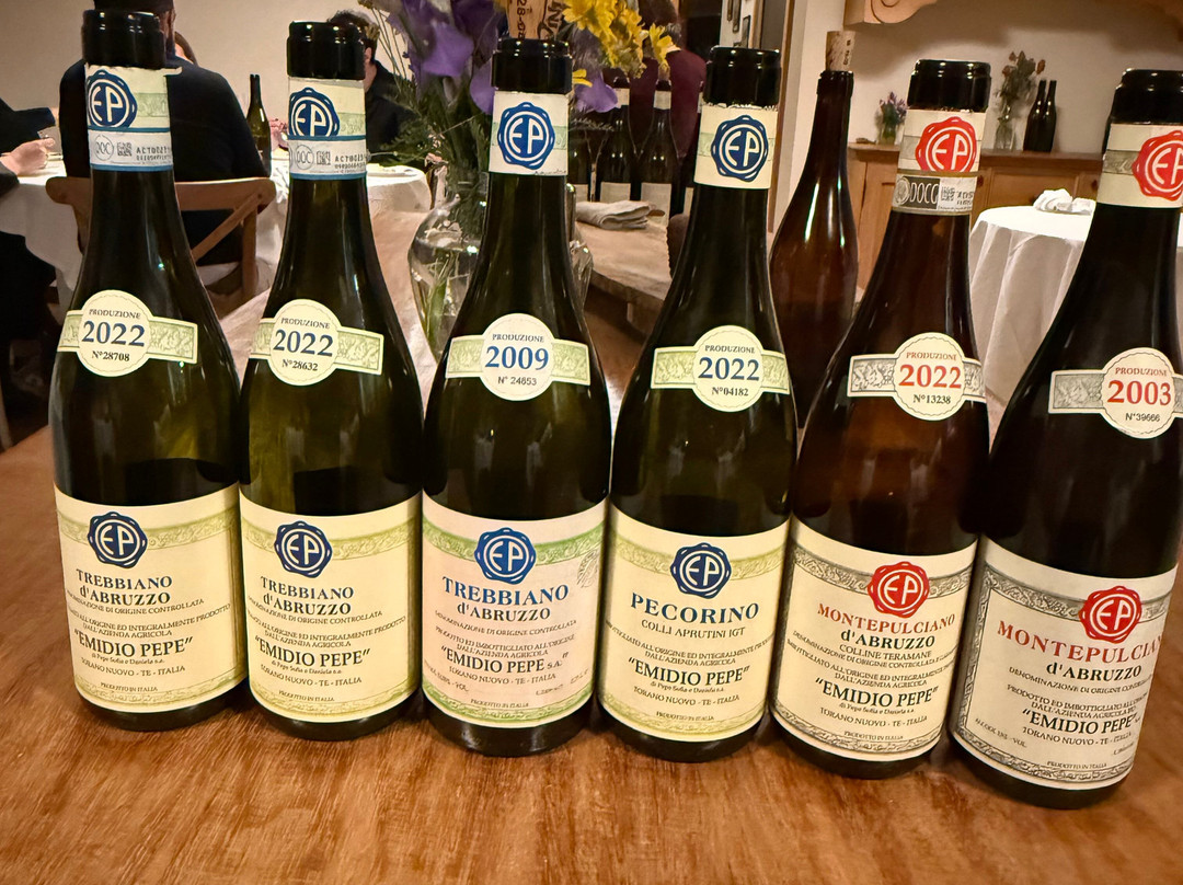 Cantina Emidio Pepe-Torano Nuovo必去景点