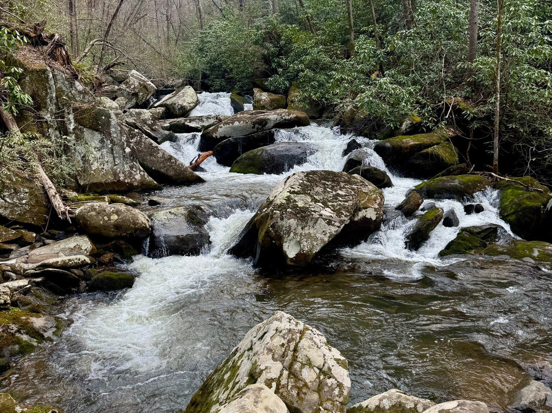 Yellow Creek Falls-罗宾斯维尔必去景点