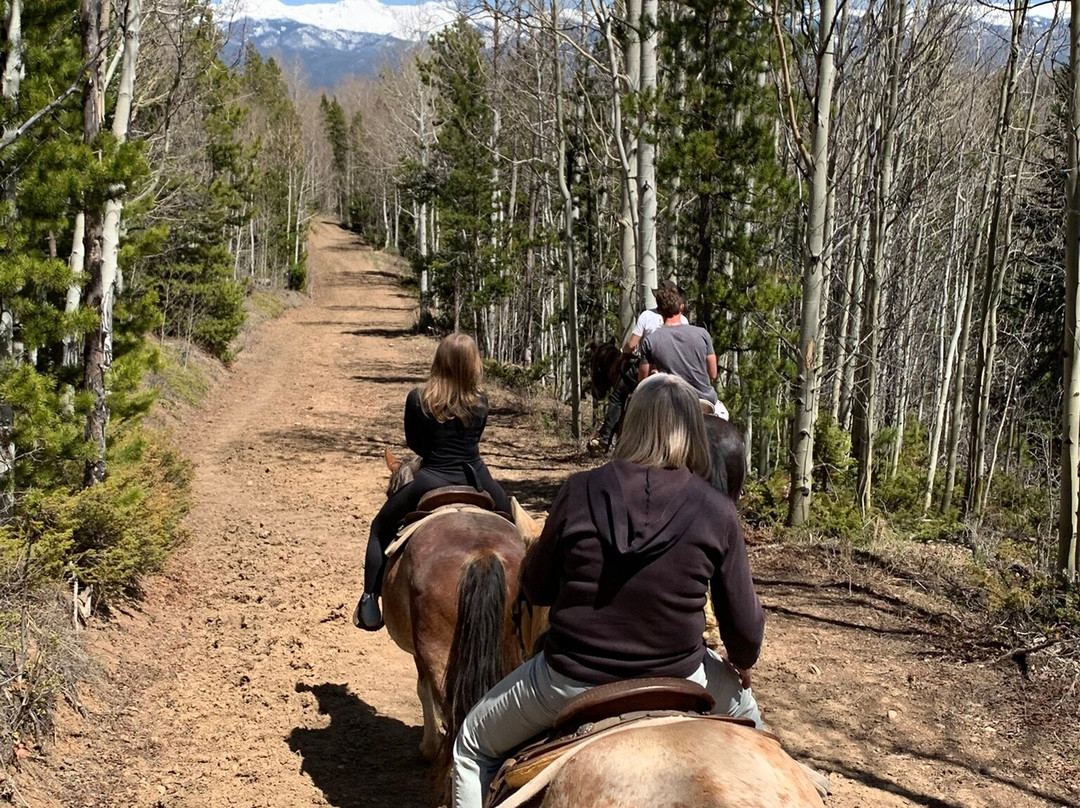 Rocky Mountain Stables景点图片