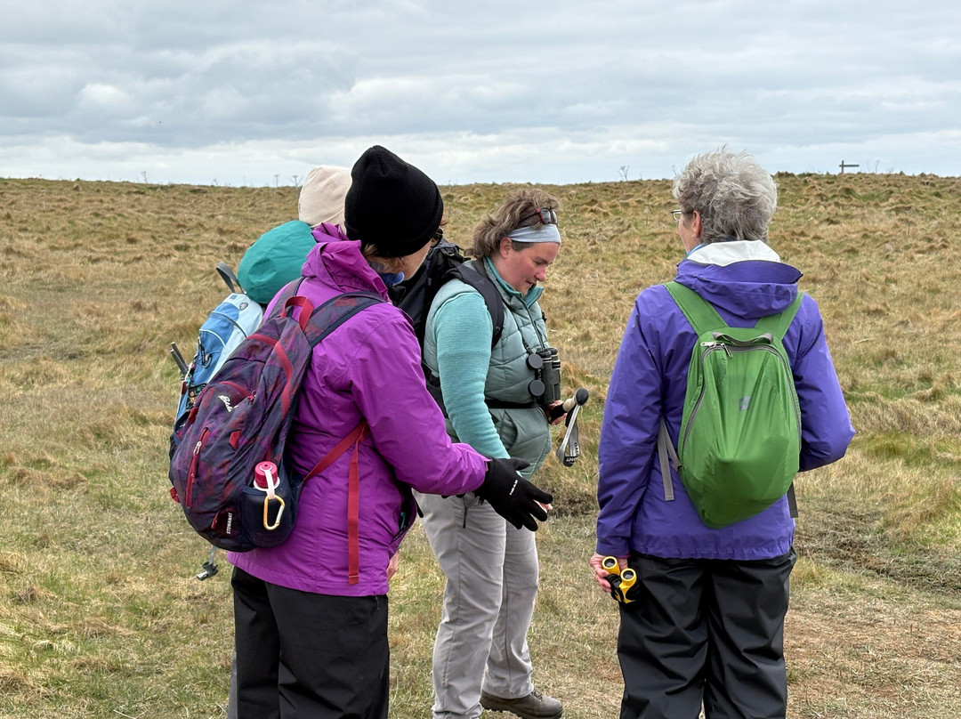 Wild Orkney Walks-Stromness必去景点