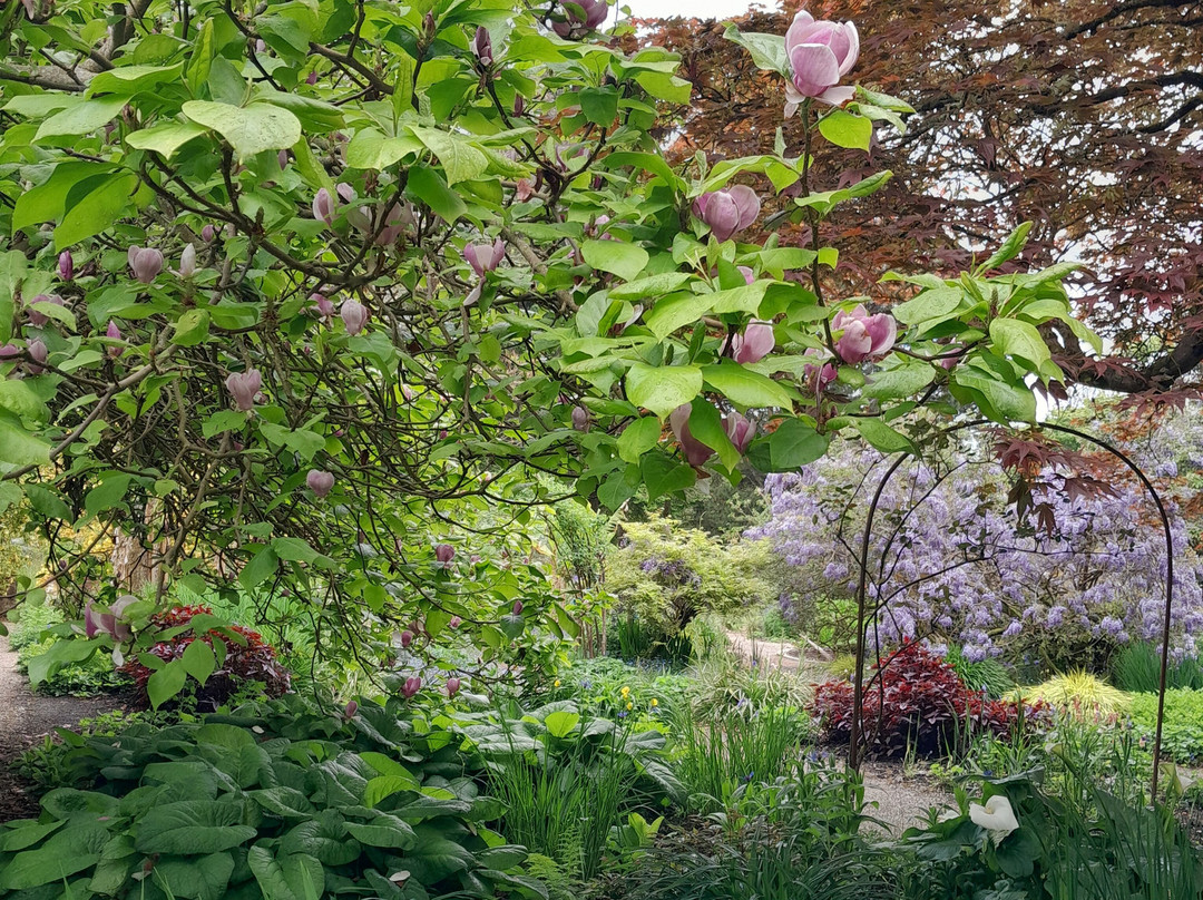 Enys Gardens-Penryn必去景点