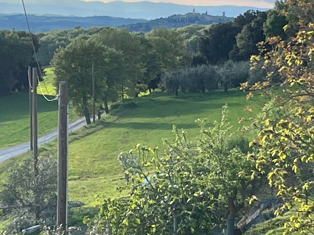 Agriturismo Riposati Podere Agogna主图